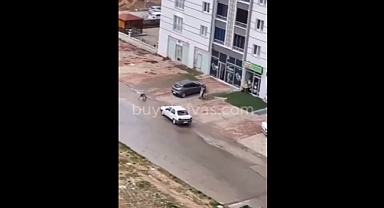 Sivas'ta Bir Kadın Yoldan Geçen Araç Sayesinde Başıboş Köpekler Tarafından Parçalanmaktan Kurtuldu