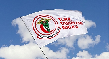 TTB, İkircikli Tutumlarına Bir Yenisini Daha Ekledi: Sokak Hayvanlarının Bulaşıcı Hastalık Taşıdıklarına İlişkin Cümleyi Önce Yazıp Sonra Sildi