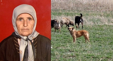 Adana'da Başıboş Köpekler 72 Yaşındaki Şerife Arısan'ı Parçalayarak Katletti