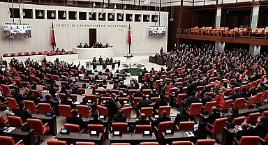 Başıboş Köpek Sorununa İlişkin Düzenleme TBMM'de