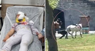 Diyarbakır'da Piknik Yapanların Arasına At Daldı: 1'i Çocuk 2 Kişi Yaralandı