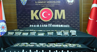 Türkiye'den Zehirli Hayvan Türlerini Kaçırırken Yakalanan ABD'li Müze Müdürü Adli Kontrol Şartıyla Serbest Bırakıldı