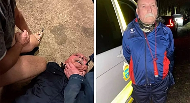 İsveç'te Bir Kürtçü Atlara Tecavüz Ederken Yakalandı 