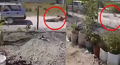 Köpeğine Zarar Verdiği Gerekçesi ile Tartıştığı Adamı Otomobilin Arkasına Bağlayıp Sürükledi