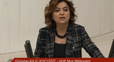 Türk Meclisinin Sıralarını Kimler İşgal Ediyor: Kürtçü DEM Parti Vekili, Bebek Katili Öcalan'a 'Sayın' Deyip Muhatap Alınmasını İstedi