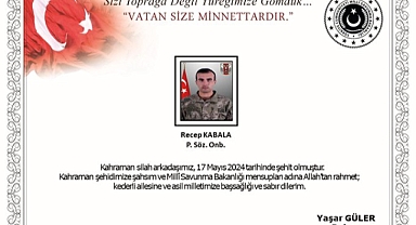 Pençe-Kaplan Operasyon Bölgesinde 1 Kahraman Türk Askeri, Silah Kazası Nedeniyle Şehit Oldu