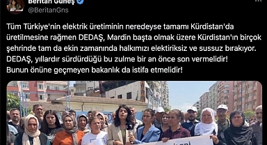 PKK'nın Siyasi Uzantısı DEM Parti Mensubu Kürtçü Vekil Kaçak Elektrik Kullanımını Savundu