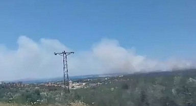 Çanakkale'de Tarım Arazisinde Yangın Çıktı