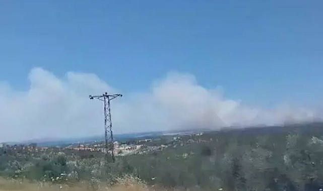 Çanakkale'de Tarım Arazisinde Yangın Çıktı