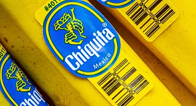 Chiquita Muz Şirketi, Kolombiya’daki Örgütlere Maddi Yardımda Bulunmaktan Suçlu Bulundu
