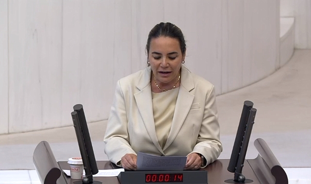 İYİ Parti Milletvekili Ayyüce Türkeş TBMM'de Kırım Tatar Bayrak Günü'nü Kutladı