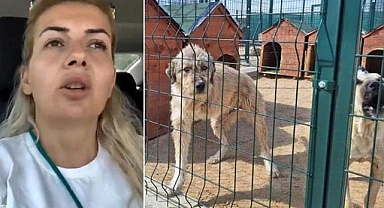 Kuduz Olduğu İddia Edilen Köpekleri Şanlıurfa'dan Ankara'ya Götüren Buket Özgünlü Serbest Bırakıldı