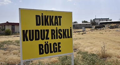 Şanlıurfa'da Bir Kuduz Vakası Daha: Sumaklı Mahallesi, Başıboş Bir Köpekte Görülen Kuduz Nedeniyle Karantinaya Alındı