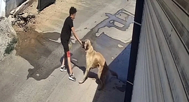 Antalya'da Başıboş Bir Köpek, Kendisini Besleyen Küçük Çocuğun Elini Isırdı