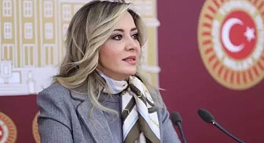 Aylin Cesur İYİ Parti'den İstifa Etti