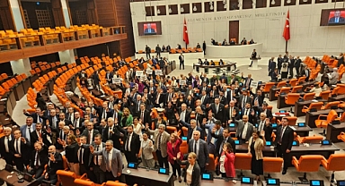 Başıboş Sokak Köpeklerine İlişkin Kanun Teklifi Meclisten Geçerek Yasalaştı