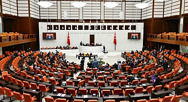 Başıboş Sokak Köpeklerine İlişkin Teklif TBMM Başkanlığı'na Sunuldu
