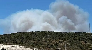 Çeşme'deki Orman Yangınında 3 Kişi Hayatını Kaybetti