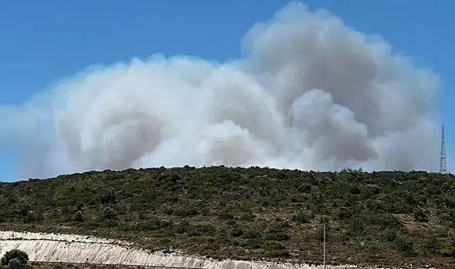 Çeşme'deki Orman Yangınında 3 Kişi Hayatını Kaybetti