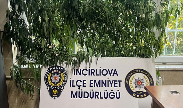 Evinin Bahçesinde Kenevir Yetiştirdi, Polis Yakalayınca da 'Su Döktüm Büyüdüler' Dedi
