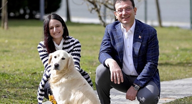 İmamoğlu, Halk Sağlığını Tehdit Eden Başıboş Köpekler İle İlgili Yasaya Tepki Gösterdi: Hedeflenen Sürede Sokak Hayvanlarının Barınaklara Toplanması Olanaksız 