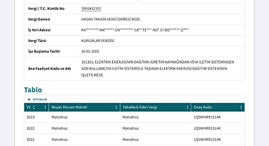 İzmir'de 2 Vatandaşın Elektrik Akımına Kapılarak Ölmesinin Ardındaki İhmaller Zinciri: GDZ Elektrik'in Son 3 Yılda Hiç Kurumlar Vergisi Ödemediği Ortaya Çıktı