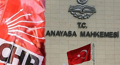 TBMM'de Kabul Edilen Başıboş Sokak Köpekleri Yasası İçin CHP Anayasa Mahkemesi'ne Gidiyor