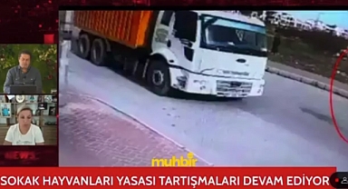 TBMM'de Kürtçü Perihan Koca'nın 'Şov Yapmaya Gelmiş' Dediği Mahra Melin Pınar'ın Annesi Yaşadıklarını Anlattı: Mahra Çok Kötü Bir Şekilde Hayatını Kaybetti