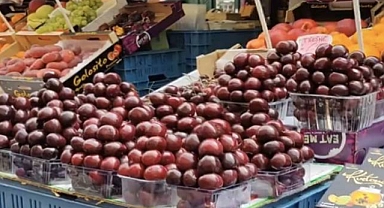 Türk Milleti Memleketinde Yetişen Kirazı Bile Yiyemiyor: Akşehir'in Kirazları Prag Tezgahlarında