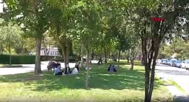 Türkiye'de İnsanlar Dinlendiği Ağaç Gölgesinin Altında Bile Güvende Değil: Parktaki Ağacın Altında Başına Yorgun Mermi İsabet Etti