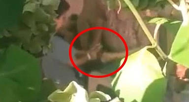 Düzce'de Vahşet: Babası ve Babaannesi Ellerini İple Bağladığı 6 Yaşındaki Çocuğa İşkence Etti