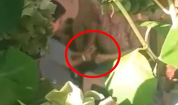 Düzce'de Vahşet: Babası ve Babaannesi Ellerini İple Bağladığı 6 Yaşındaki Çocuğa İşkence Etti