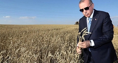 AKP İstibdadı Vatandaşın Tapulu Arazisini Gasp Etmenin Yeni Yolunu Buldu: İki Yıl Üst Üste İşlenmeyen Tarım Arazileri Kiraya Verilecek