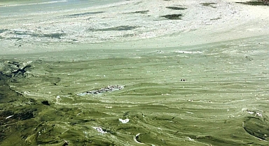 Türk Milletinin Doğal Varlıkları Can Çekişiyor: Eğirdir Gölü'ndeki Kirlilik Dehşet Verici Boyutlara Ulaştı