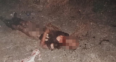 İstanbul Fatih'te Başıboş Köpeklerin Saldırısına Uğrayan Zihinsel Engelli Bir Vatandaş Hayatını Kaybetti