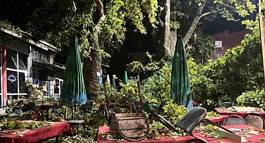 İzmir Kemalpaşa'da Asırlık Çınar Ağacı Kıraathanede Oturanların Üzerine Devrildi: Çok Sayıda Yaralı Var