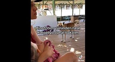 Köpektaparlardan, Kucağında Bebeğiyle Yemek Yerken Gelen Başıboş Köpekten Korkan Anneye Akıl Almaz Tepki