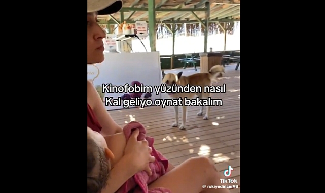 Köpektaparlardan, Kucağında Bebeğiyle Yemek Yerken Gelen Başıboş Köpekten Korkan Anneye Akıl Almaz Tepki