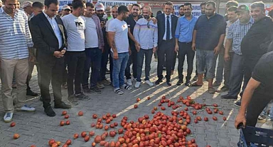 AKP'nin Kalesi Konya'da Çiftçi İsyan Etti: Domatesler Yollara Döküldü