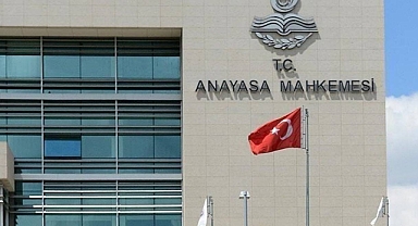 Anayasa Mahkemesi, Başıboş Sokak Hayvanları Yasasını Esastan İnceleme Kararı Aldı