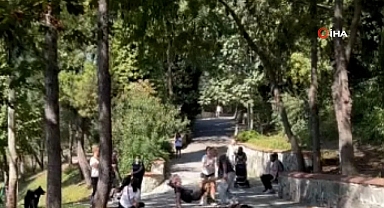 İstanbul'da Köpeğini Parkta Tasmasız Gezdiren Bir Şahıs, Kendisini Uyaran Vatandaşları Darp Etti