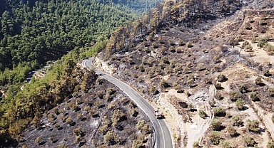 Muğla'da Çıkan Orman Yangını 3. Gününde Kontrol Altına Alındı