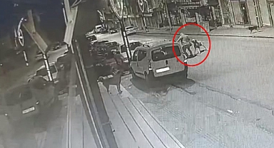 Ordu'da Sokakta Yürüyen Bir Vatandaşa Başıboş Köpekler Saldırdı