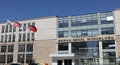 Sayıştay'dan Orman Genel Müdürlüğü Raporu: Yangınlarda Kullanılacak Uçak ve Helikopter Alımı İçin Oluşturulan Fon 6 Yıldır Takip Edilmemiş