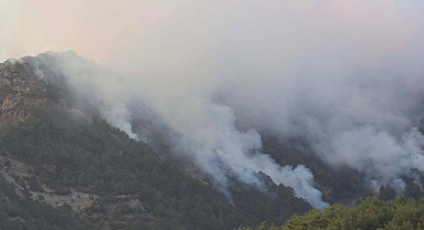 Denizli'de Orman Yangını 3. Gününde: Yangın Hala Kontrol Altına Alınamadı