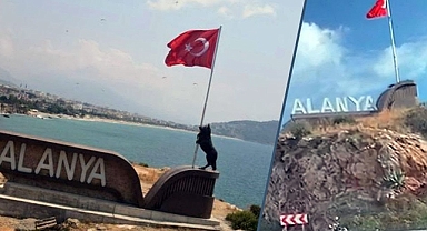 CHP'li Alanya Belediyesi, Bayrak Tutan Bozkurt Heykelini Kaldırdı