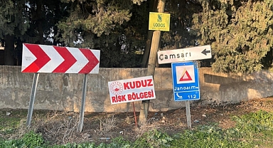 Hatay'da Kuduz Alarmı: 2 Kişi Başıboş Köpek Tarafından Isırıldı, Mahalle Karantinaya Alındı