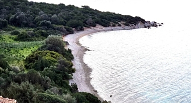 Bodrum'da Rant Oyunu: Zeytinlik ve Orman Alanı İmara Açıldı, CHP'li Belediyeler Sessiz Kaldı