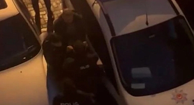 İstanbul'da Ağızlıksız Gezdirilen Pitbull Cinsi Köpek Polise Saldırdı