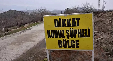 Şanlıurfa'da 3 Kişiyi Isıran Başıboş Köpek Kuduz Çıktı, Mahalle Karantinaya Alındı
